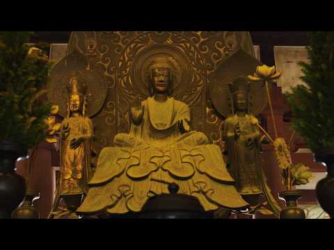林遣都 技と心にふれる法隆寺旅 奈良ふしぎ旅図鑑SP