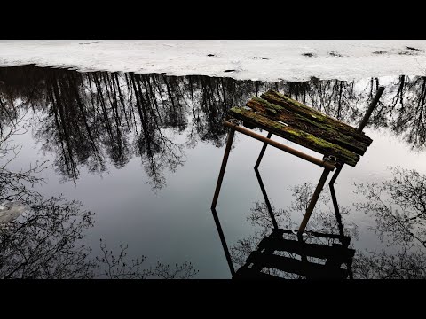 SILVERFORSEN - Ronnebyån - februari 2021 - Version 2 - RONNEBY - Blekinge - Huawei p30 PRO