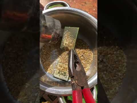 AMD Sempron Cpu processor .Removing pins For Gold Recovery . gold recovery from cpu Processors