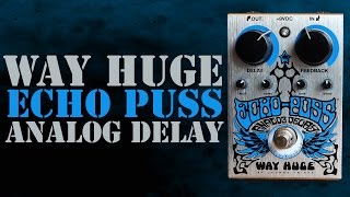 Way Huge Echo Puss - What To Know & Where To Buy | Equipboard