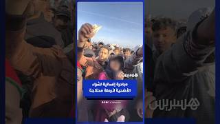جمع التبرعات بسوق المواشي لمساعدة سيدة أرملة في شراء أضحية العيد thumbnail
