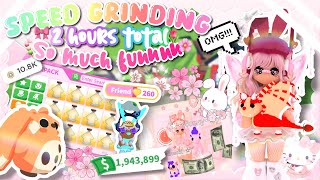 Speed Grinding In ADOPT ME! 😱2 HOUR Speed Grind! Aging Up Black Springer Spaniel | 💕BlossomBunnyBeb💕