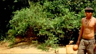 Jepea`yta - A lenha principal