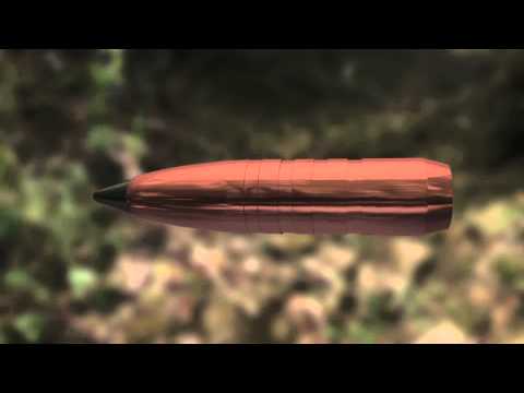 Federal .308 175gr Terminal Ascent (Is It Accurate?)