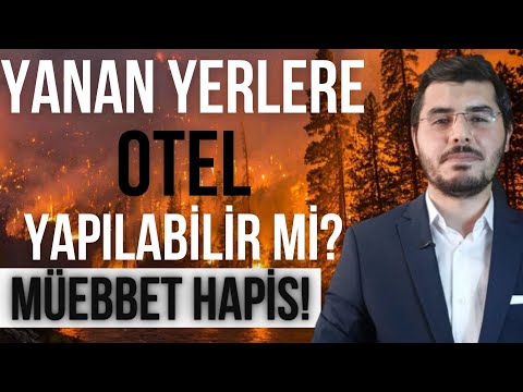 Orman Yangını Çıkarmanın Cezası Nedir? Yanan Ormanlara Otel Yapılır Mı?Tabipler Birliğinin Amacı Ne?