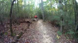 preview picture of video 'Dupont State Forest - Reasonover Creek Downhill'