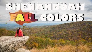 Shenandoah Fall Colors
