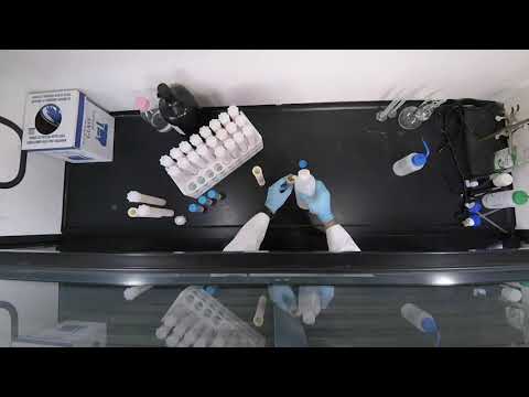 Will It Digest  Cannabis & Hemp