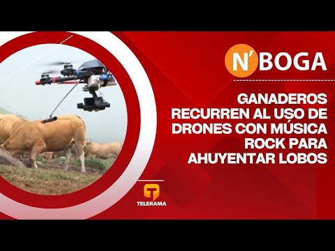 Ganaderos recurren al uso de drones con música rock para ahuyentar lobos