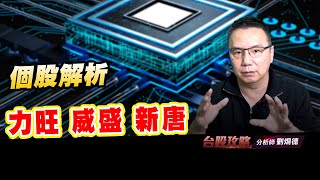 個股解析：力旺、威盛、新唐 (圖)