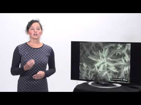 Elise Berodier, 2ème place MT180 EPFL 2015