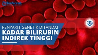 Sindrom Gilbert, Jenis Penyakit Genetik Ditandai Kadar Bilirubin Indirek yang Tinggi dalam Darah