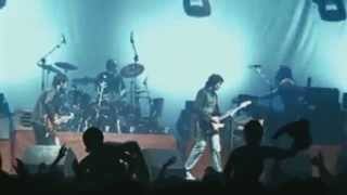 Flores Negras Lyrics English Translation