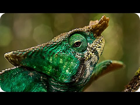 BBC PLANET EARTH 2 Trailer (2017) BBC Nature Documentary Series