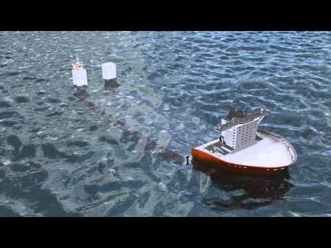 World largest semi-submersible cargo transport ship