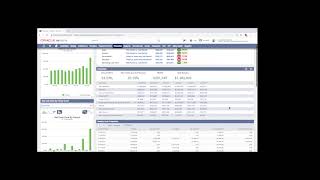 NetSuite Dashboard Walkthrough - User Access by Role