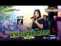 RINDU TAPI MALU Viral AREA Laila Ayu NEW PALLAPA Live Gresik OFFICIAL LIVE MUSIC