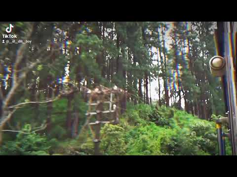 Trip to Hali Ela, Sri Lanka   /  Travel  With Deshan