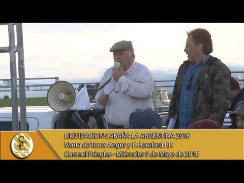 09-05-18 Venta de Toros Angus y P. Hereford P.P. - Liquidacion Cabaña La Argentina - Cnel. Pringles.