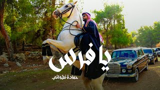 كلمات اغنية يا فرس حمادة نشواتي