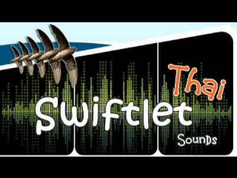 เสียงเรียกนกนางแอ่นE069