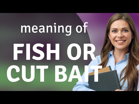 Understanding "Fish or Cut Bait": A Phrase Explored