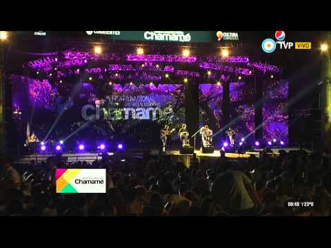 Fiesta Nacional del Chamamé 2015 - 8º Noche - Alejandro Brittes (1 de 2) 23-01-15