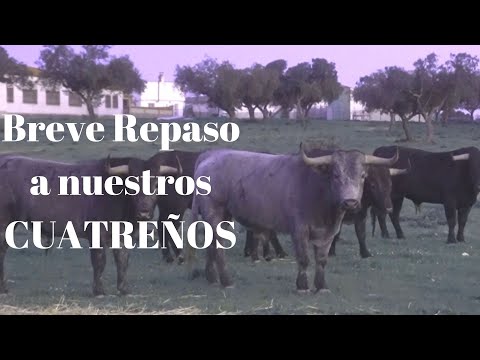 REPASO a los CUATREÑOS de VICTORINO en Marzo 2021