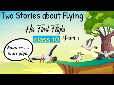 his first flight class 10 in hindi animation / two stories about flying class 10 part 1 in hindi