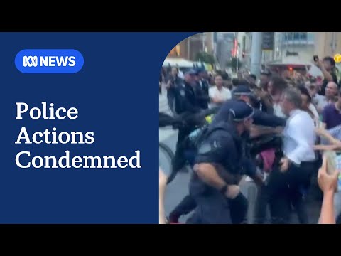 Police under fire for violence against Sydney pro-Palestine protesters | ABC NEWS