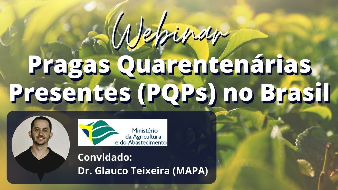 Webinar: Pragas Quarentenárias Presentes (PQPs) no Brasil