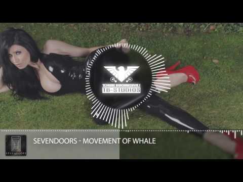 SevenDoors - Movement of Whale