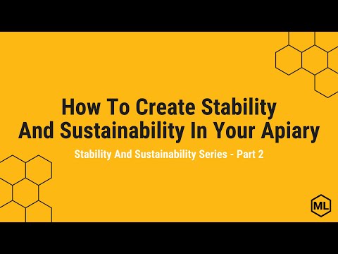 The Buzz on Sustainable Beekeeping | Golden Age