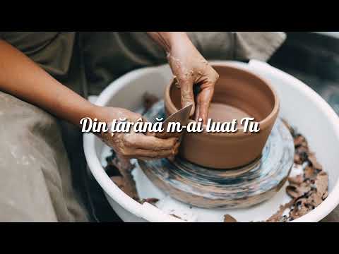 Ligia Bodea - Doamne , fă din mine