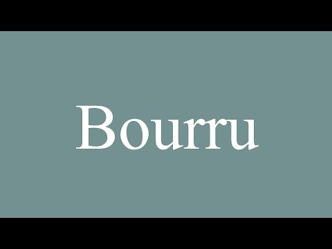 How to Pronounce ''Bourru'' Correctly in French
