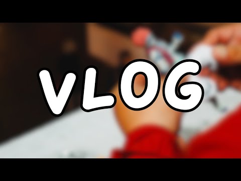 Went with Chunky to take Pics of his Figures (VLOG)