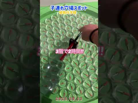 2025.10.13 子連れ穴場スポット 姫路科学館 プラネタリウム 1日遊べます!! #shorts