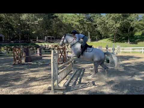 CMS Watermark video 3