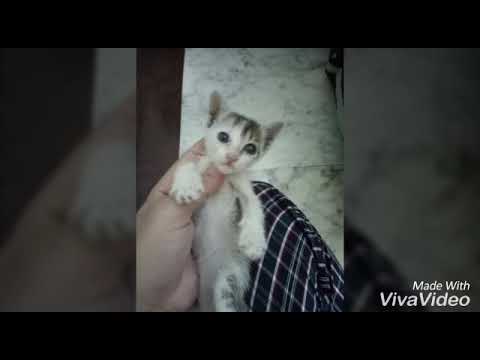 "A Walk To Remember" #My Lucy ❤   by Hozaifa Rasheed