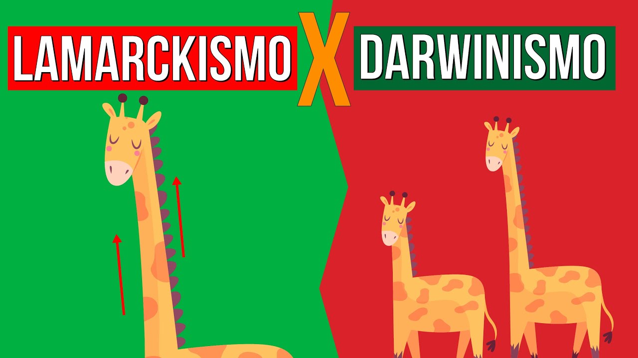 EVOLUÇÃO: Lamarckismo e Darwinismo | RESUMO DE BIOLOGIA PARA O ENEM