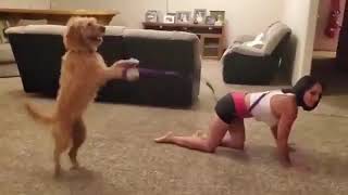 【一転攻勢】犬に散歩させられるお姉さん/ A woman walked by a dog