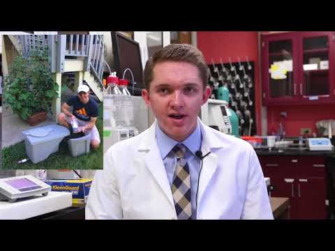 Bioconversion of Organic Waste into Fish Feed via Black Soldier Fly Larvae at Dr. Vikas Kumar’s Lab