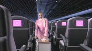 Laptop's "Nothing to Declare"