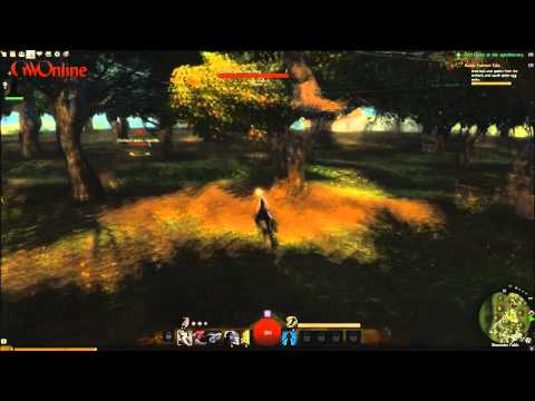 Guild Wars 2 Daily: Guests in Augury Rock