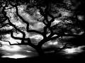 katatonia - a premonition by N I P