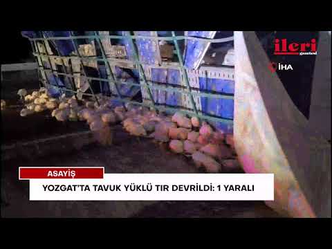 Yozgat’ta tavuk yüklü tır devrildi: 1 yaralı | İleri Gazetesi