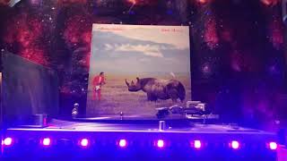 Adrian Belew - The Lone Rhinoceros