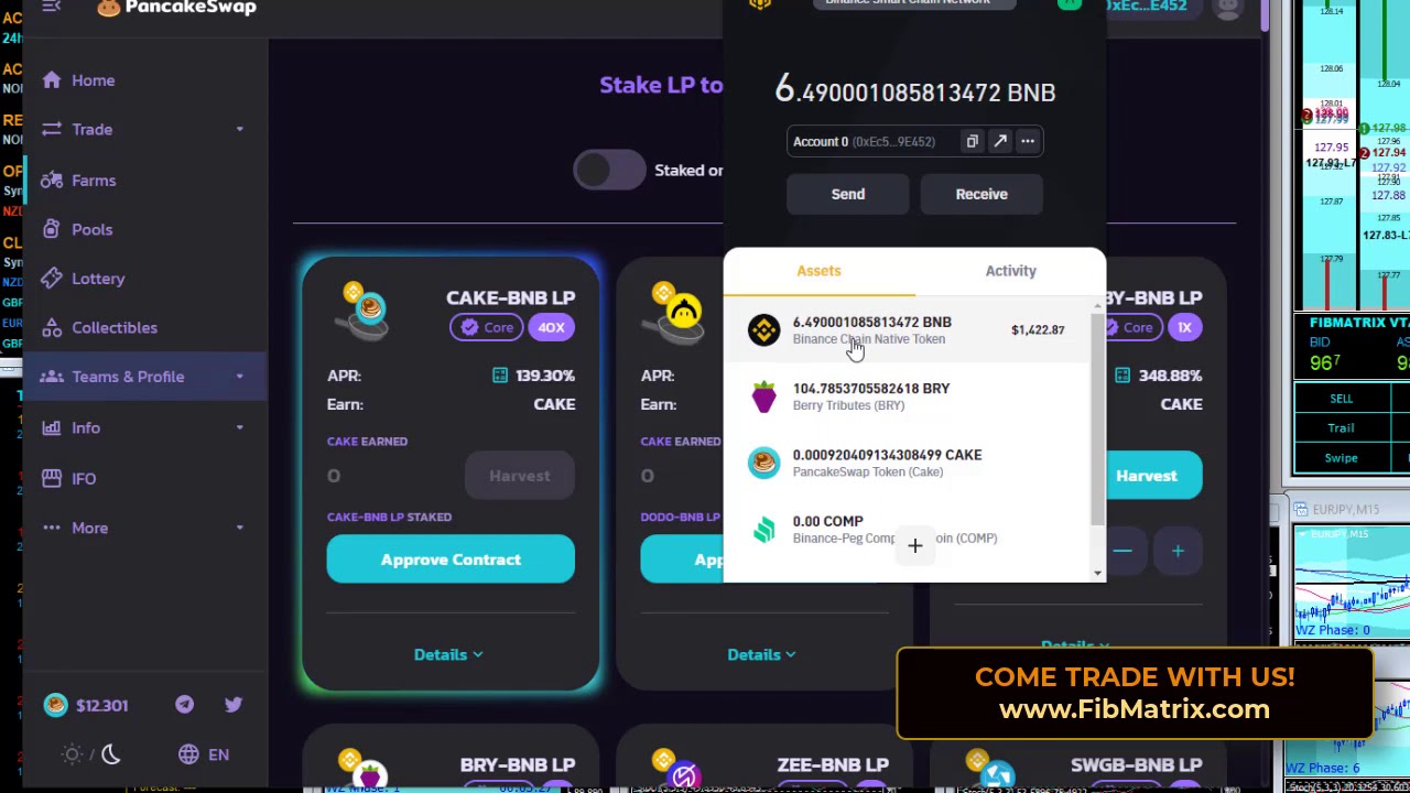 PancakeSwap video review - features and pricing overview