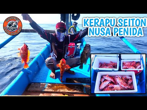 MANCING BABONNYA SETAN PAKAI RELL MESIN