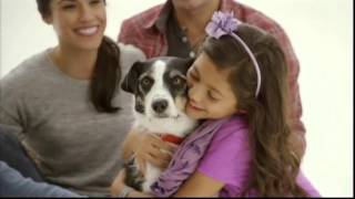 30-Minute update: ASI president announced, inside the beekeeping class